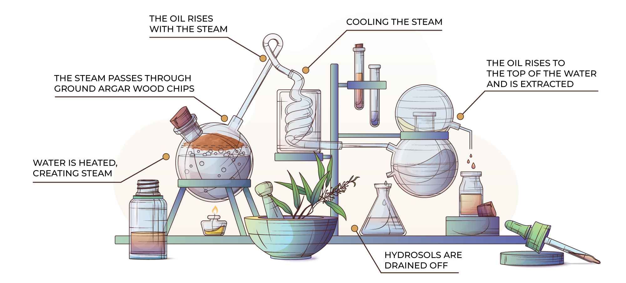 How Oud Oils are made