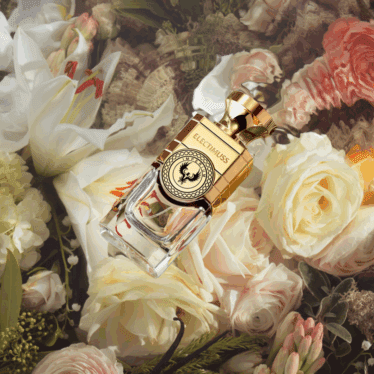 Imperium Instagram Grid Still Photo